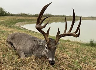 hunting trip south texas