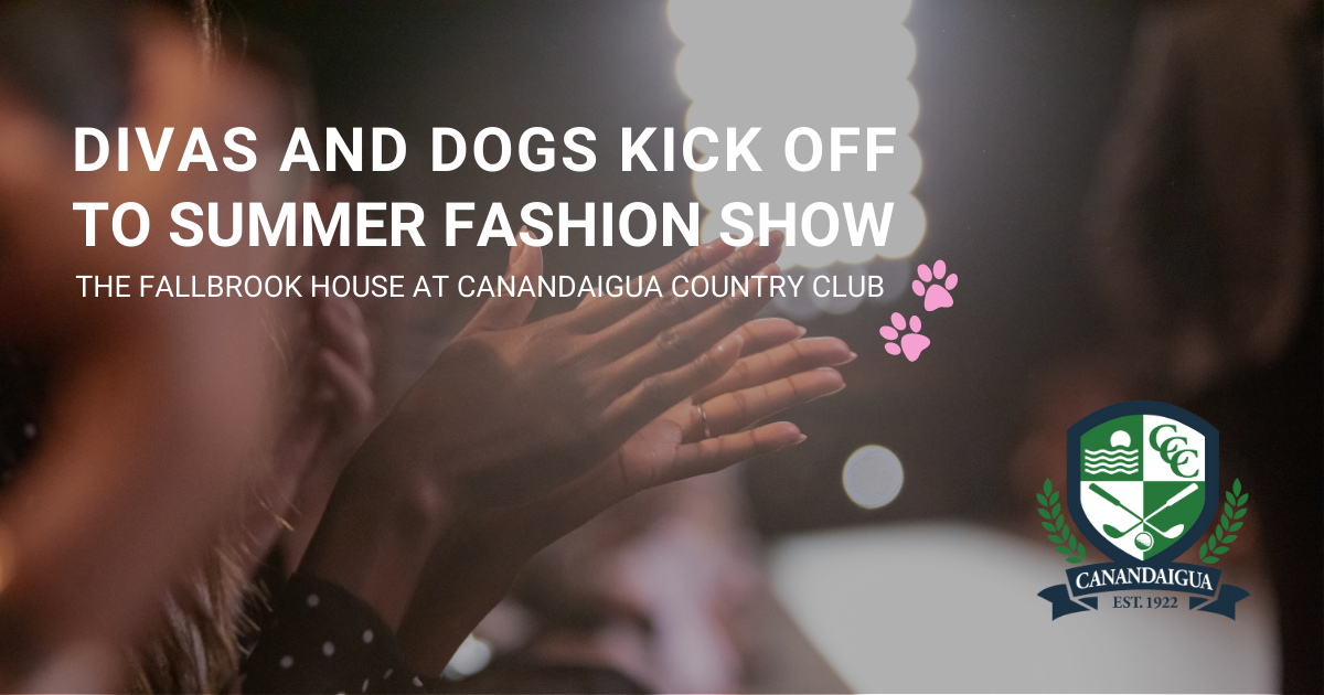 Stylish Dog Show Clothes for Year