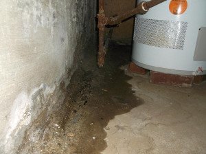 Everdry Waterproofing: How to waterproof your basement 