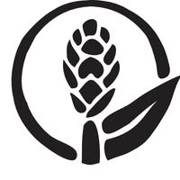 Beyond Cuts Salon logo