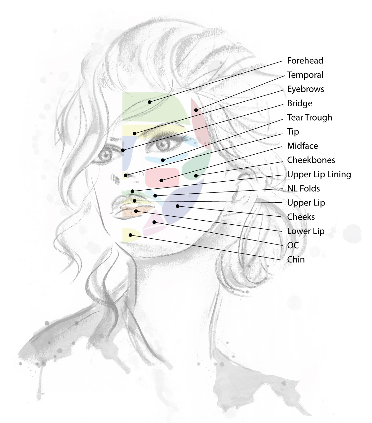 dermal Fillers Illustration