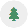 pine tree