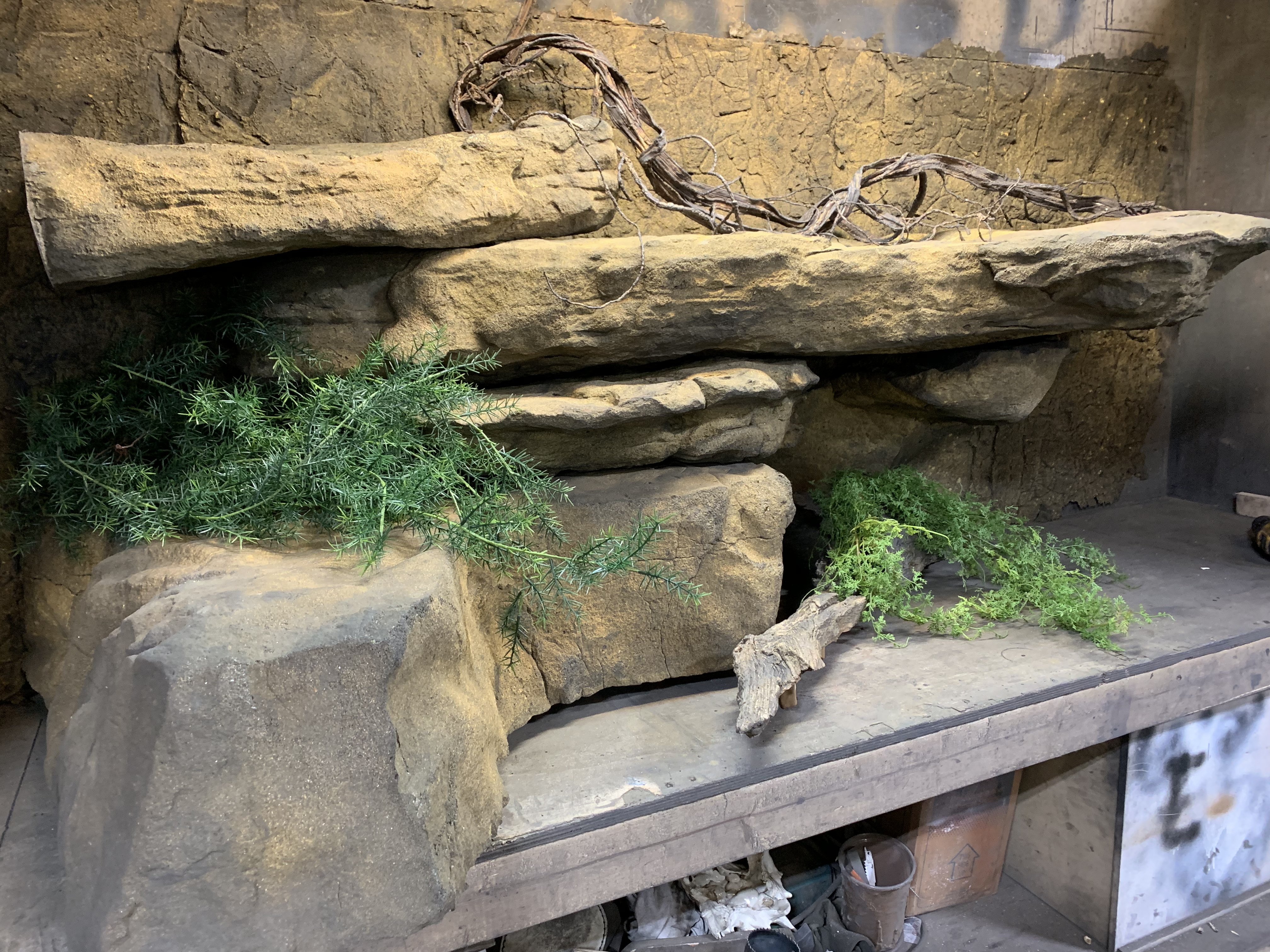Reptile Display DIY Ledges Informational Video Universal Rocks