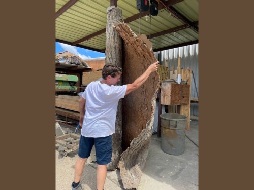 Cottonwood Tree Bark Wall Panel 7' x 9'