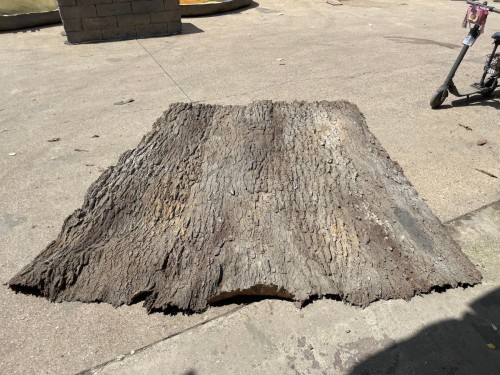 Cottonwood Tree Bark Wall Panel 7' x 9'