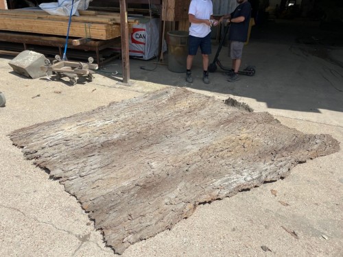 Cottonwood Tree Bark Wall Panel 7' x 9'