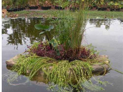 Floating Island - 001