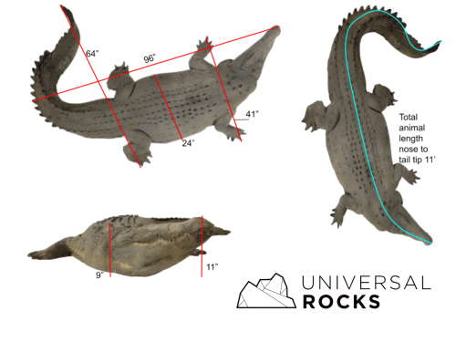 Floating  Crocodile Large