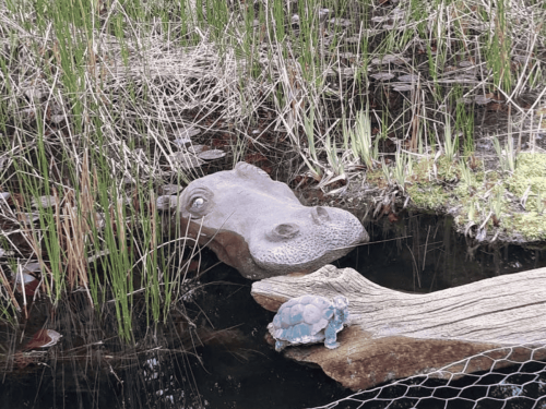 Floating - Hippo Head Large