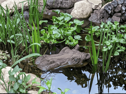 Floating - Hippo Head Small