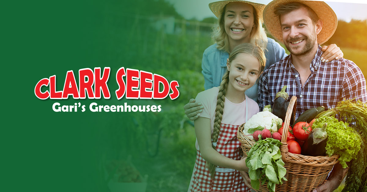 Clark Seeds For All Your Gardening Needs