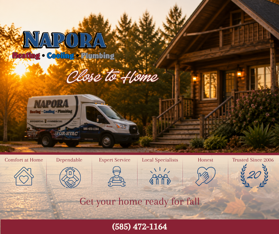 napora van in front of a wood cabin