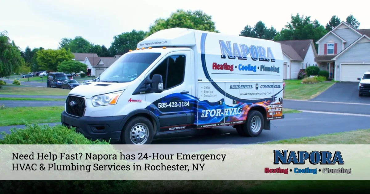 napora work van