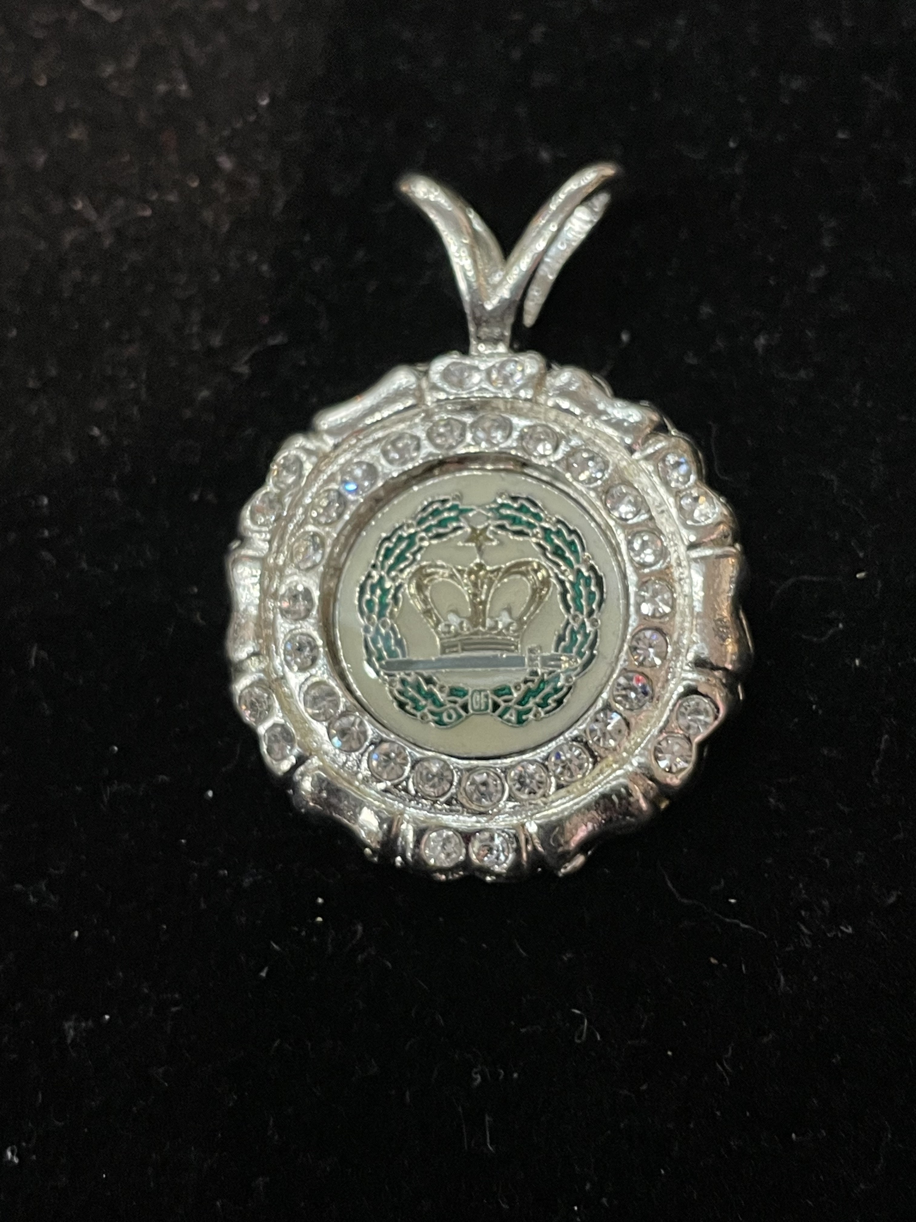 Amaranth’s Crystal Medallion $59