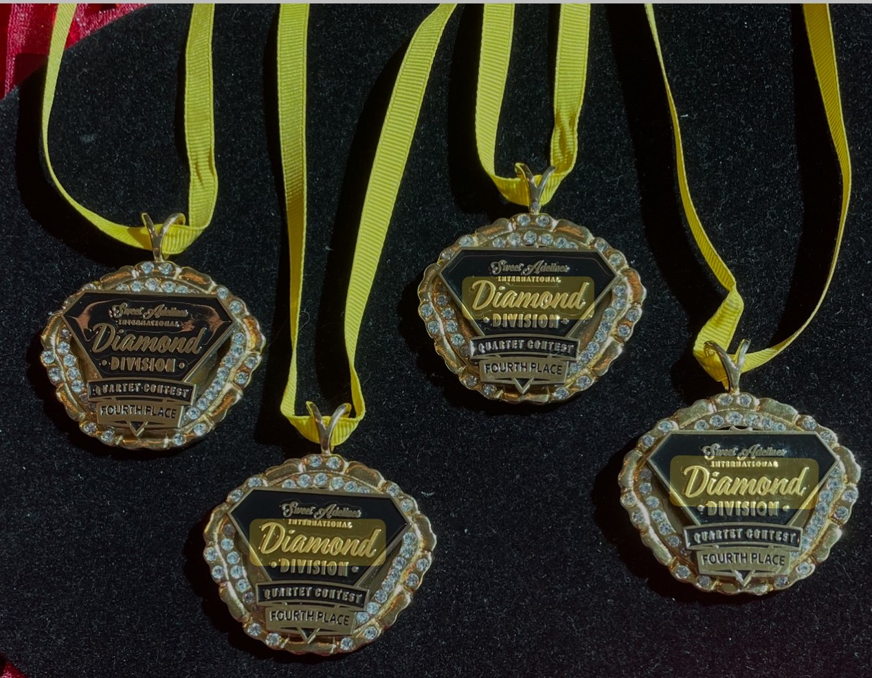 Diamond Division Medal Holder $39.95