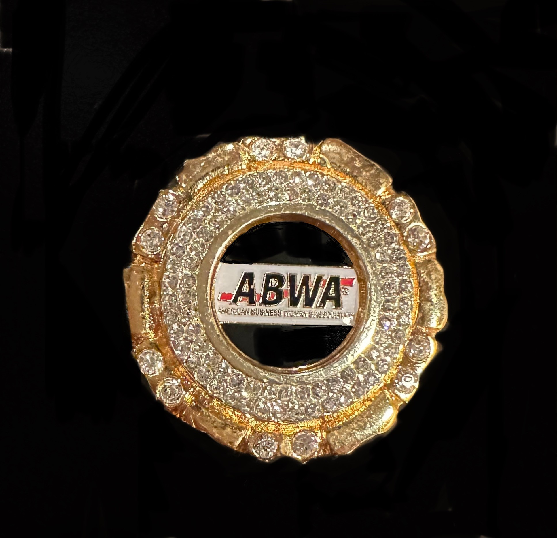 ABWA CRYSTAL PIN/pendant combination $69