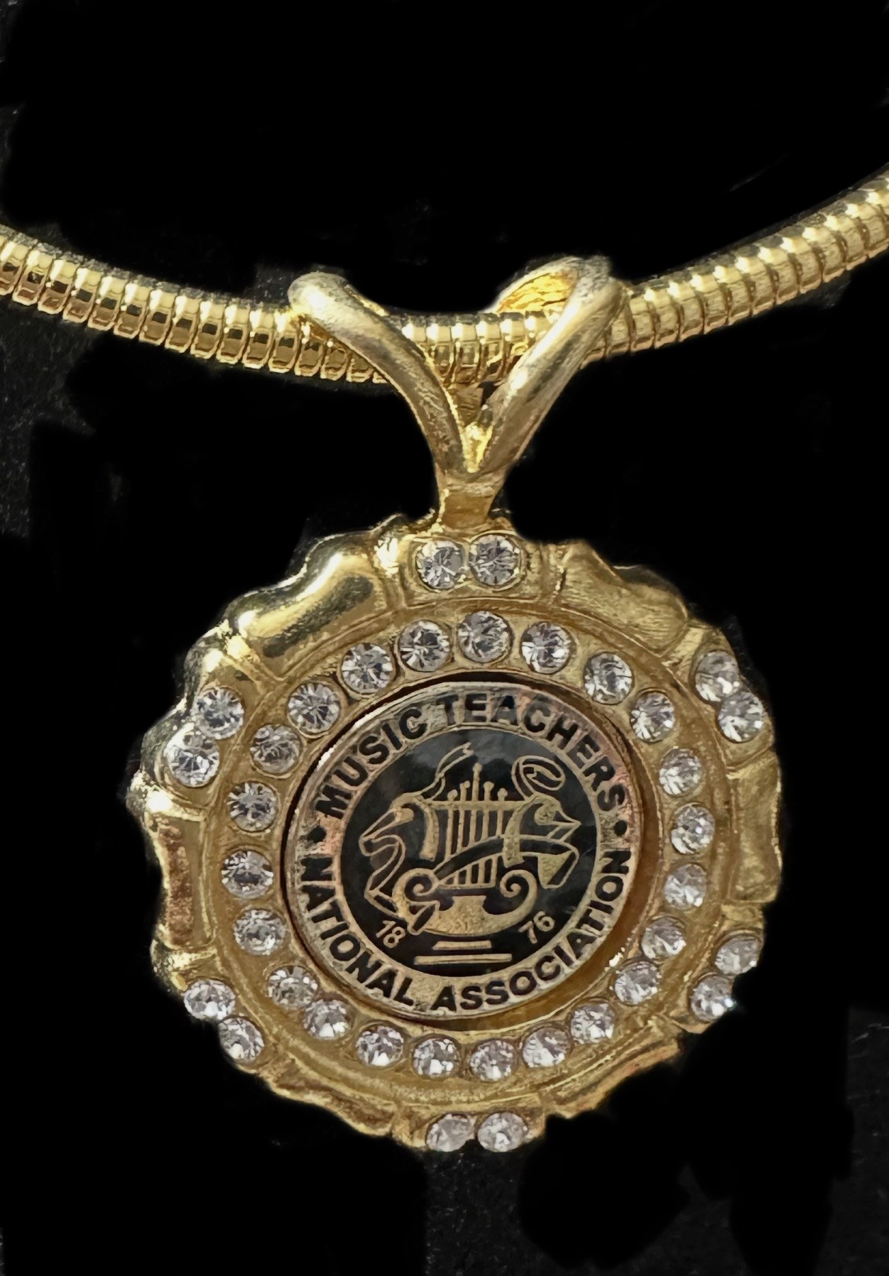 NMTA  logo medallion