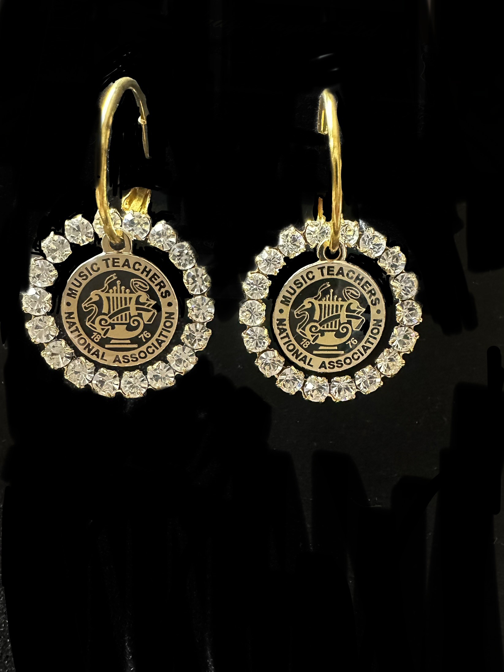 NMTA COMPLETE LOGO EARRING SET