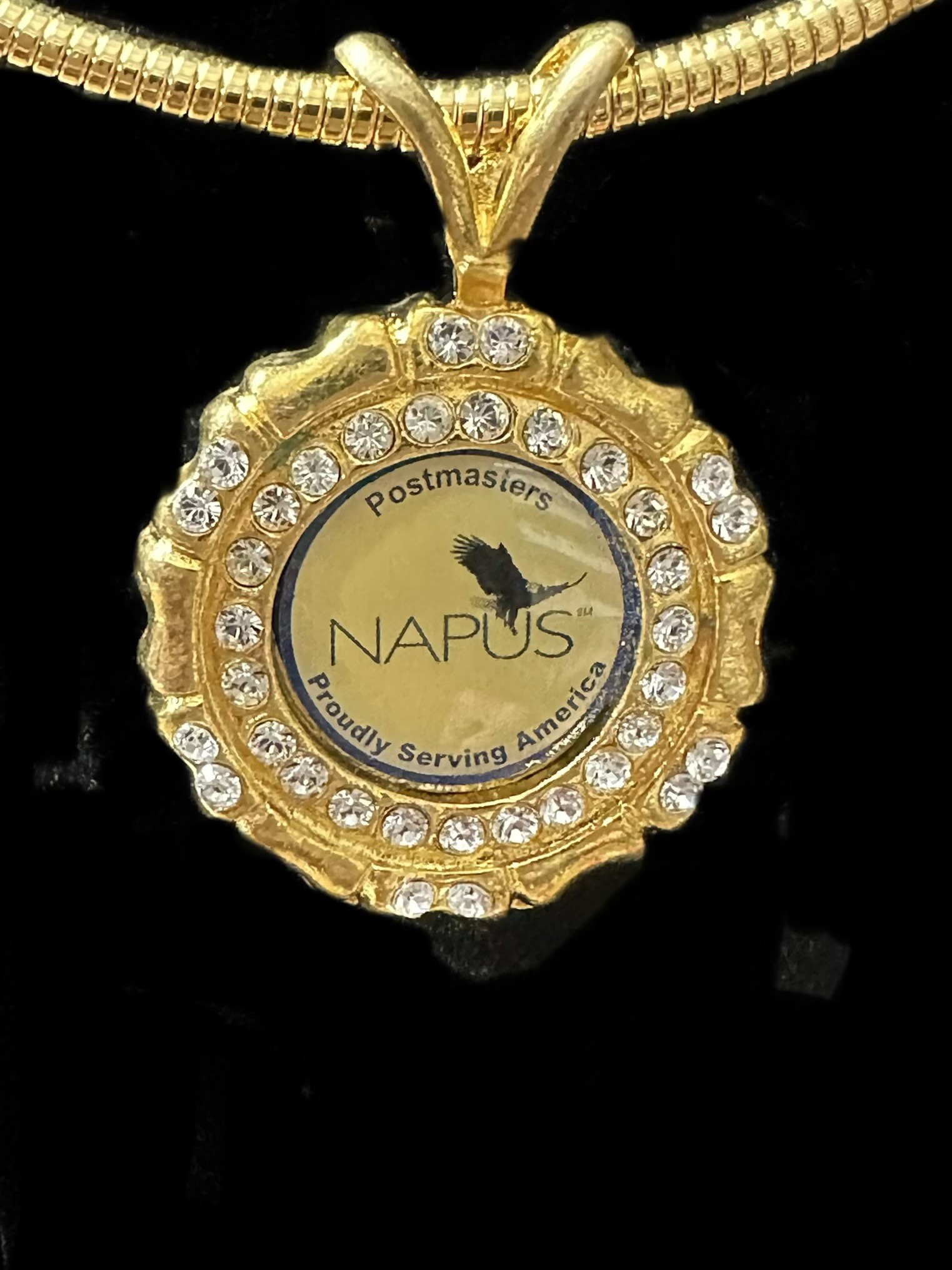 NAPUS logo medallion
