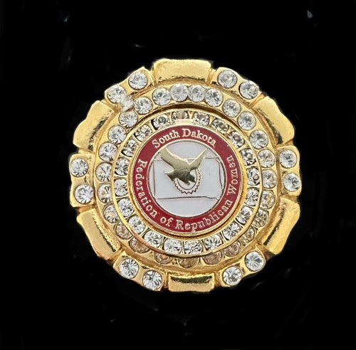 Crystal SDFRW Pendant and pin $69