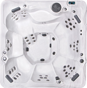 PDC Premium Barbados shell