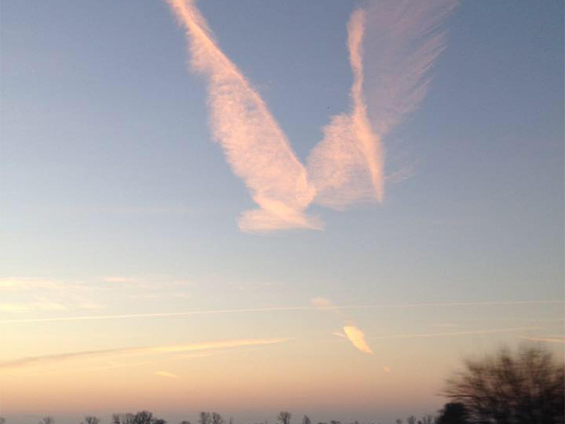 Clouds in the sky that look like angel wings