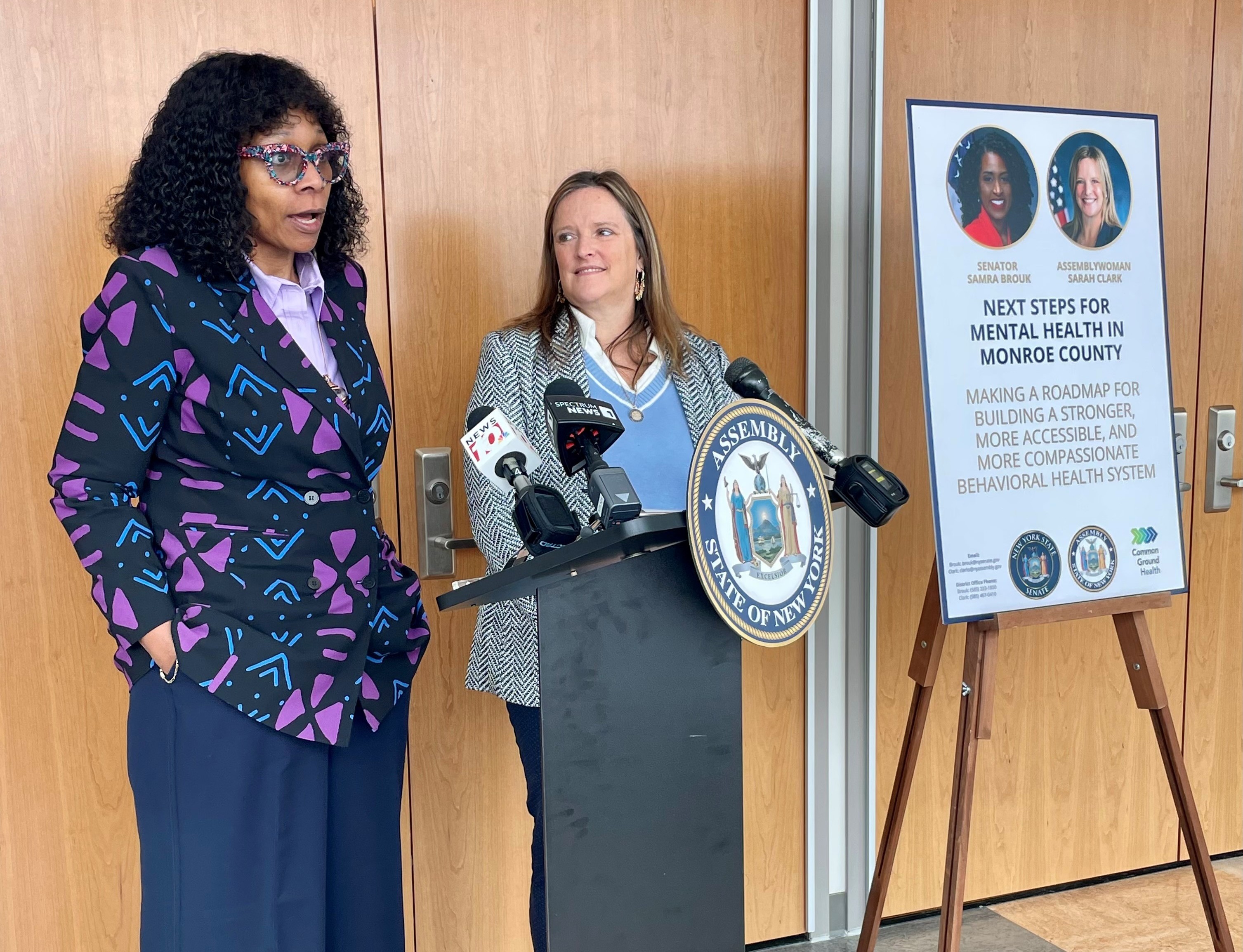 From analysis to action: bringing the Finger Lakes community together for mental health