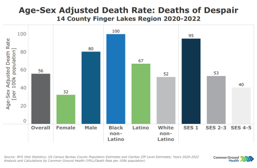 Deaths of Despair by Demographic Characteristics