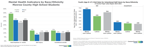 Mental Health of Youth by Race and Ethnicity