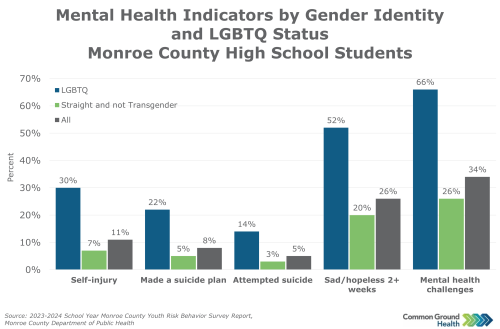 Mental Health Indicators of Students by Gender Identity and LGBTQ Status
