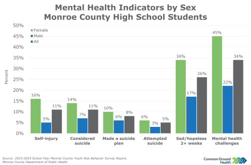 Mental Health Indicators of Students by Sex