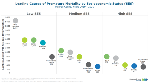 Leading Causes of Premature Mortality by Socioeconomic Status (SES)