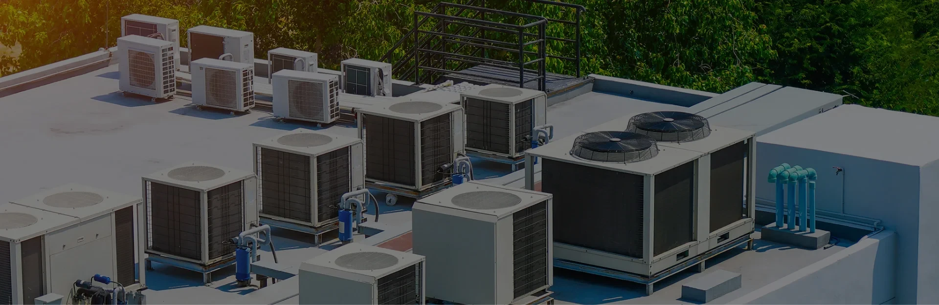 Multiple large HVAC units installed on a flat rooftop, surrounded by green trees in the background.