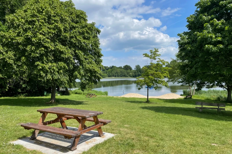 Wooden picnic table on grass near a lake, surrounded by trees under a partly cloudy sky.