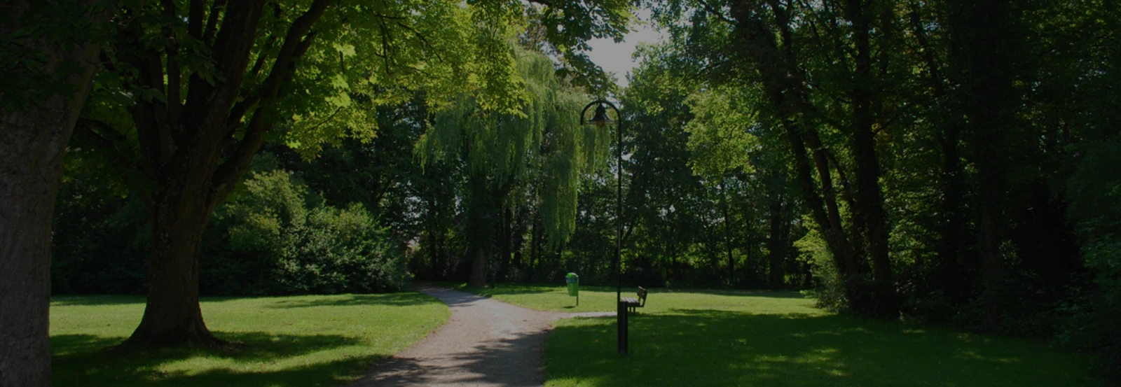 A shaded park path winds through lush green trees and grass on a sunny day.