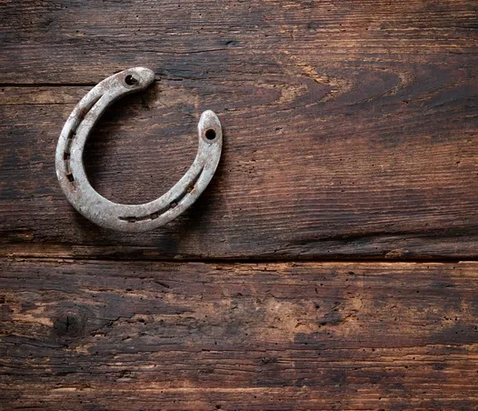 Normal Equine Plasma