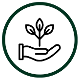 Outline of a hand holding a small plant, enclosed in a dark green circle.