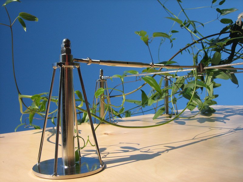 Trellis Systems Cable Railing Technology Stainless Cable Solutions