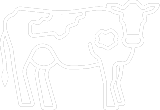 cow icon