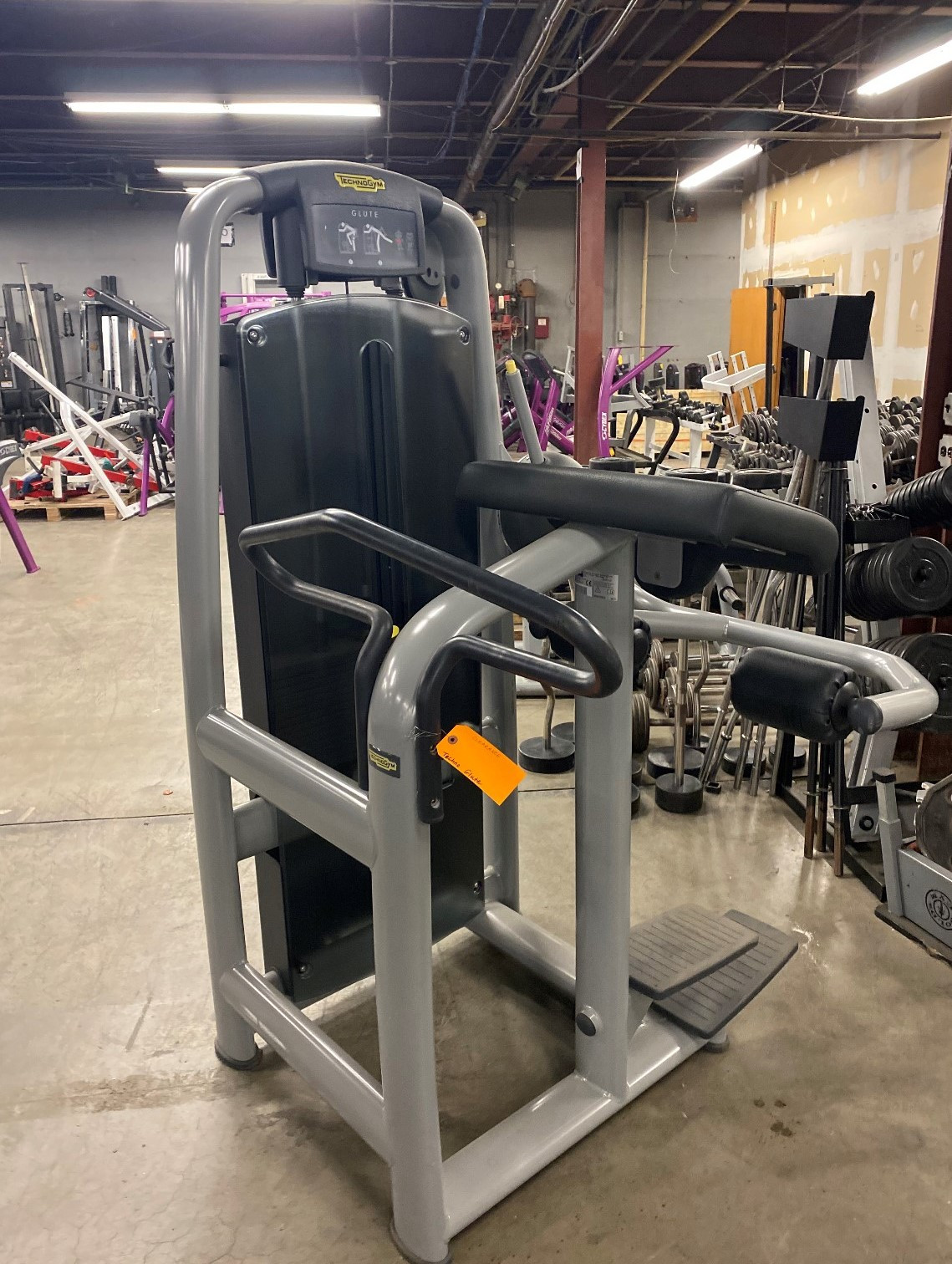 Technogym Glute As/Is Functional Rebirth Fitness