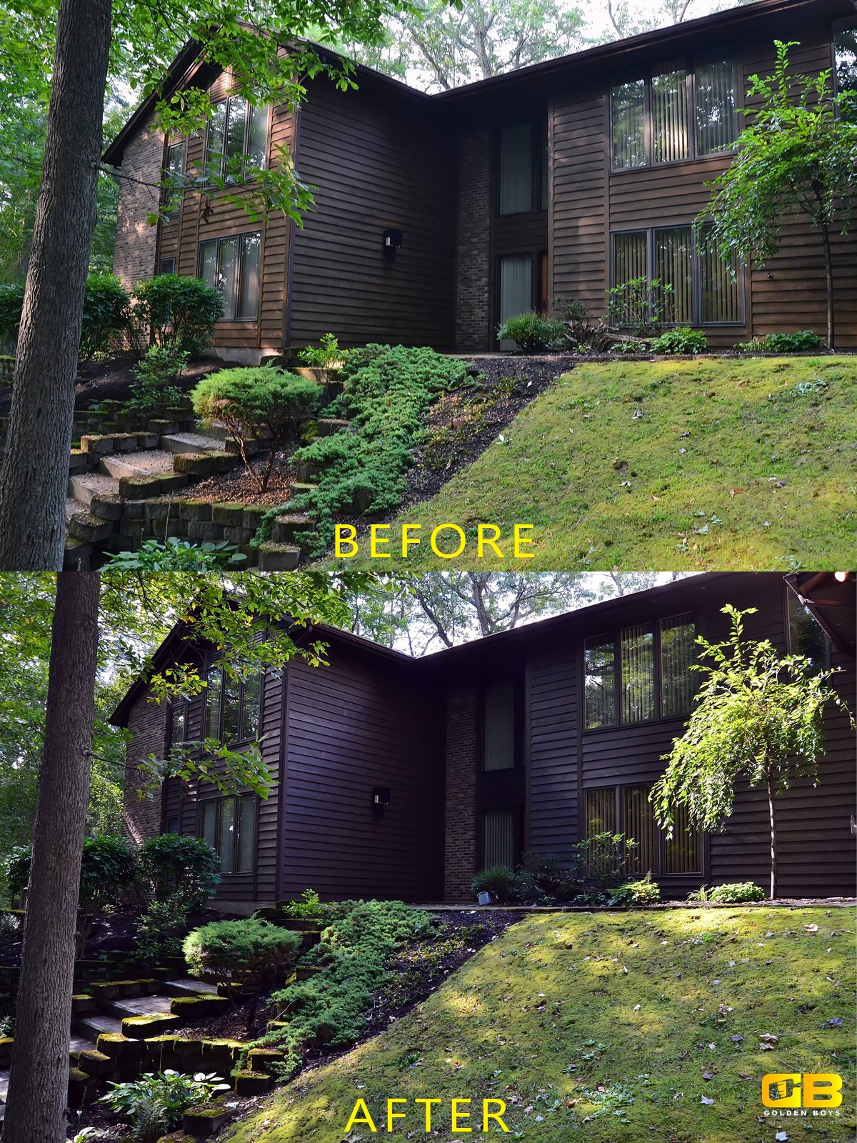 Ellen Pittsford NY Golden Boys Painting