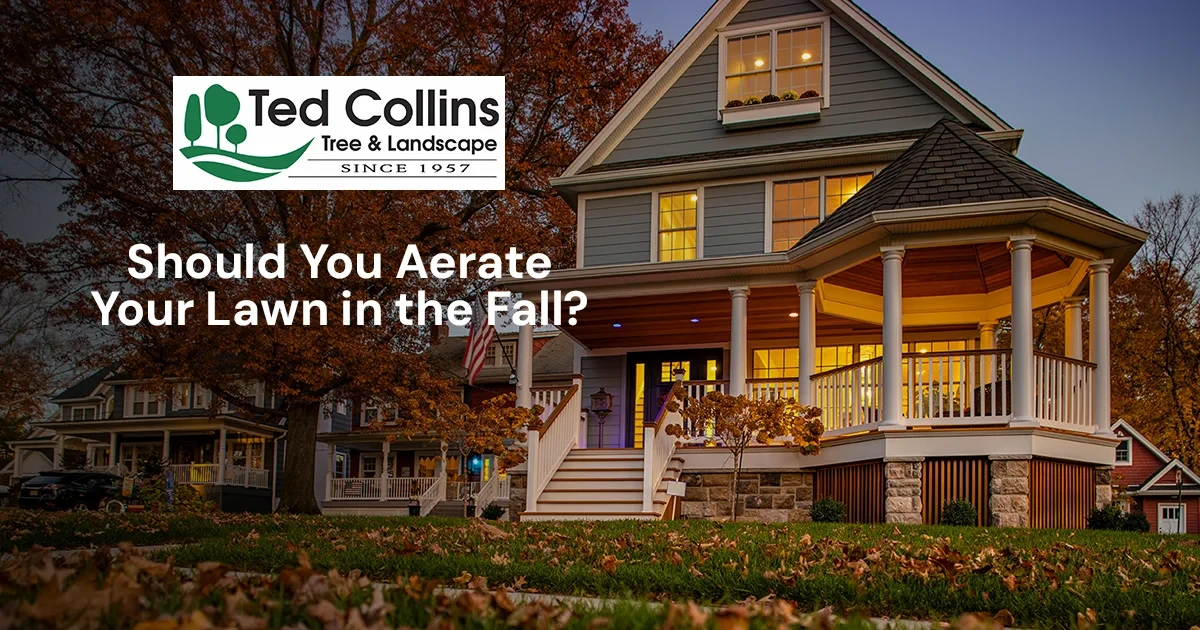 A suburban home in autumn with the text Should You Aerate Your Lawn in the Fall?