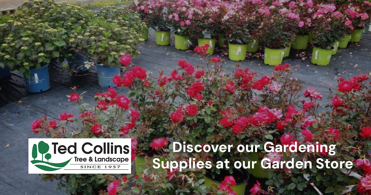 Discover our Gardening Supplies at our Garden Store