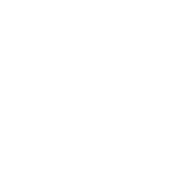 tooth with crown icon