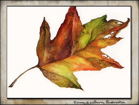 Autumn leaf 1998