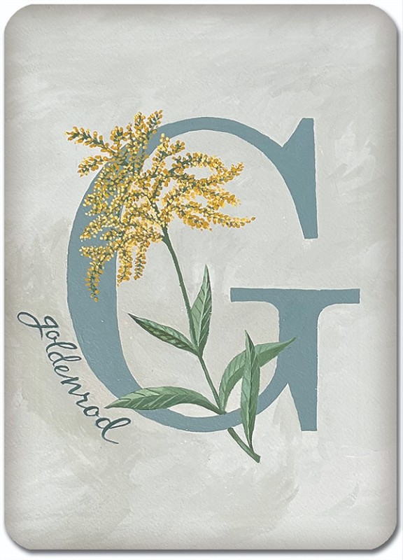 G is for Goldenrod