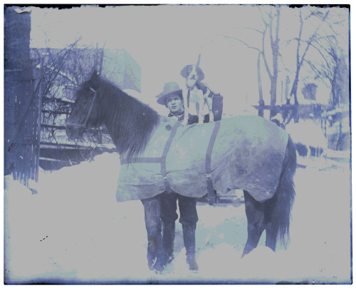 An Antique Glass Plate Negative Photograph Dog On Horse In Snow