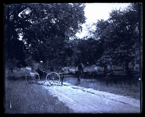 An Antique Glass Plate Negative Photograph Man In Horse Carriage On Dirt Road