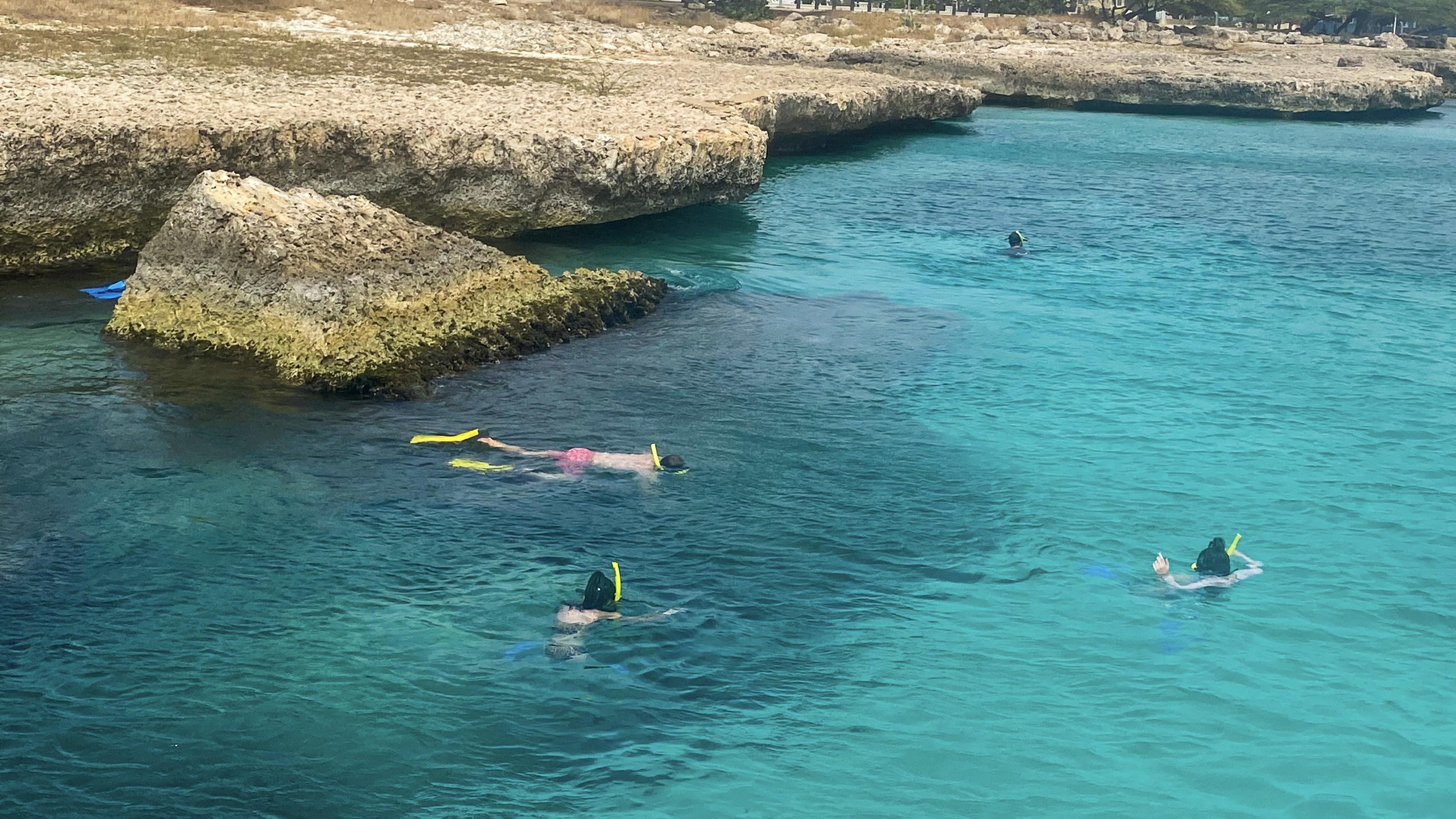 a group of people swimming in a body of water